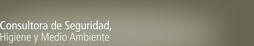 Consultora de Seguridad, Higiene y Medio Ambiente